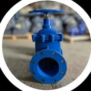 Blue gate valve